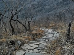 -北京凤凰岭