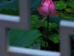 -荔湾湖公园