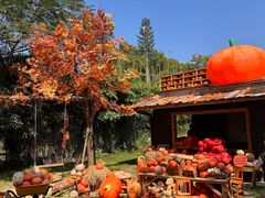 -HERRE·FARM 赫尔露营农场·团建聚会包场