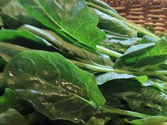 -老员外骨汤火锅(海州古城店)