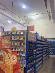 -逝水玩具折扣店