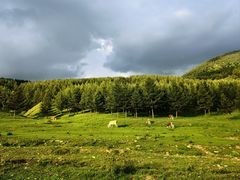 -五台山风景名胜区