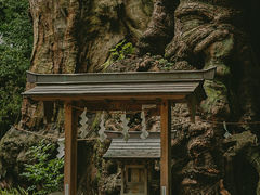 -来宫神社