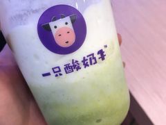 -一只酸奶牛(摩根吾悦广场店)