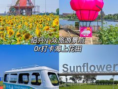 -杭州湾海上花田景区