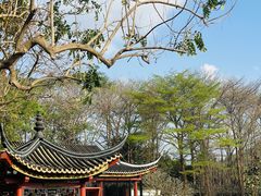 -顺峰山公园