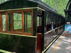 -合肥滨湖国家森林公园