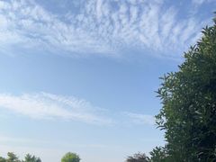 -幸福湖国际会议中心