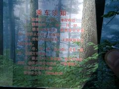 -五营红松林海景区