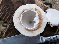 -东椰·海南椰子鸡火锅(朝阳门店)