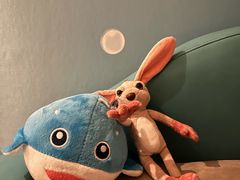 -珠海横琴长隆《卡卡虎奇遇记》