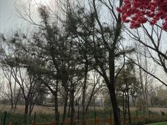 -太阳宫公园