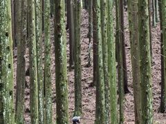 -山王坪喀斯特国家生态公园
