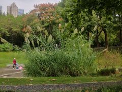 -后襄河公园