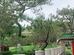 -名树园