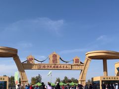 -金塔沙漠胡杨林景区