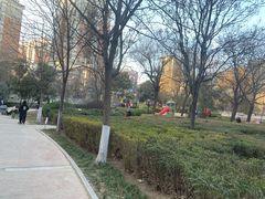 -高新第三幼儿园