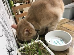 -小时光咖啡馆(开森度假森林店)