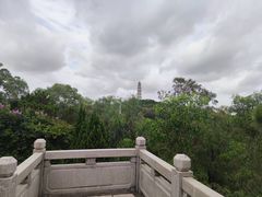 -榴花公园