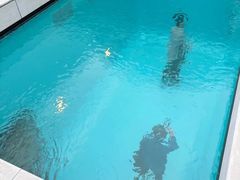 -金泽21世纪美术馆