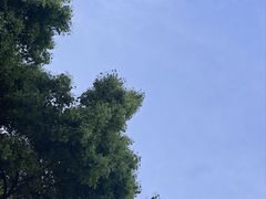 -花博汇(知音花月夜)