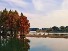 -贡湖湾湿地公园