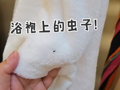 -上海外滩英迪格酒店