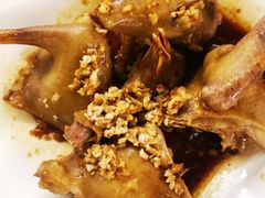 -百利鸽王(紫薇路店)