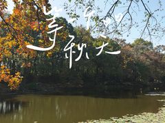 -灵谷景区