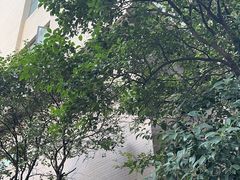 -上海市中医医院(石门路院区)