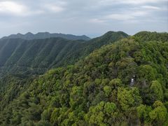-龙坞茶村