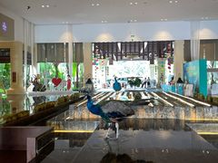 -西双版纳融创皇冠假日度假酒店