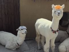 -珠海海泉湾神秘岛亲子乐园