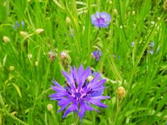 -长春公园(普阳街道)