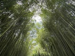 -竹泉村旅游度假区