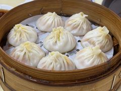 -莱莱小笼·乔艾