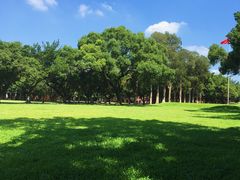 -中山大学学者灵芝(园南路店)