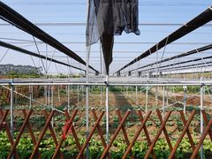 -迪茵湖田家舍生态农场