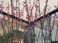 -盒马鲜生(夫子庙店)