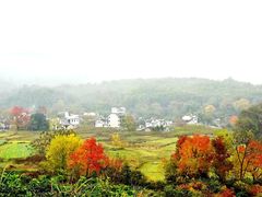 -塔川景区