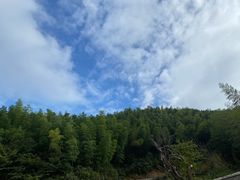 -江西阳明山国家森林公园