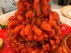 -丁老爷子苏香圆
