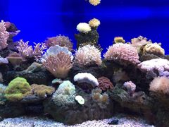 -乌鲁木齐海洋馆