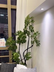 -JNK皮肤管理中心