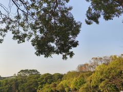 -东莞植物园