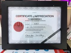 -车艺佳龙膜隐形车衣汽车贴膜(宝山丰宝店)