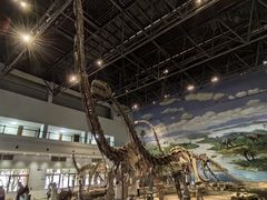 -自贡恐龙博物馆