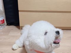 -宠物家(大兴旧宫店)