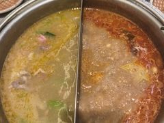 花胶鸡汤锅-一绪に寿喜烧(荟聚店)