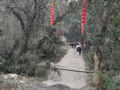 -超山青莲寺